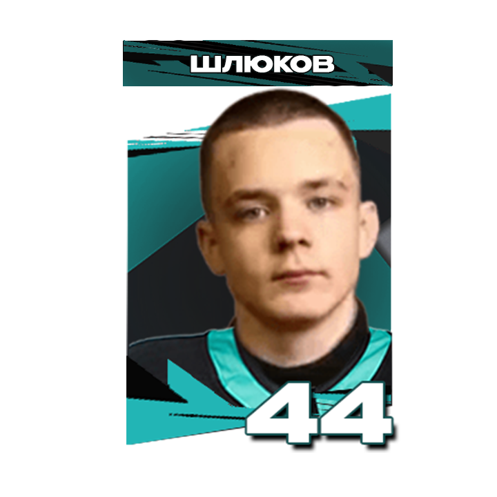 Шлюков Артемий